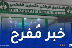 الصندوق الوطني للتعاون الفلاحي يقدم مساعدات للعائلات المتضررة من الحرائق