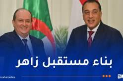 الوزير الأول: الشراكة الجزائرية المصرية أصبحت إطارا واعدا لتحقيق النفع المتبادل 