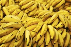 شرطة بجاية تحجز أكثر من 5 قناطير “موز” لعدم الفوترة