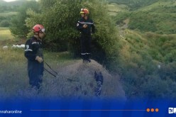 الجلفة.. عملية بحث عن طفل مفقود بغابة الحواص