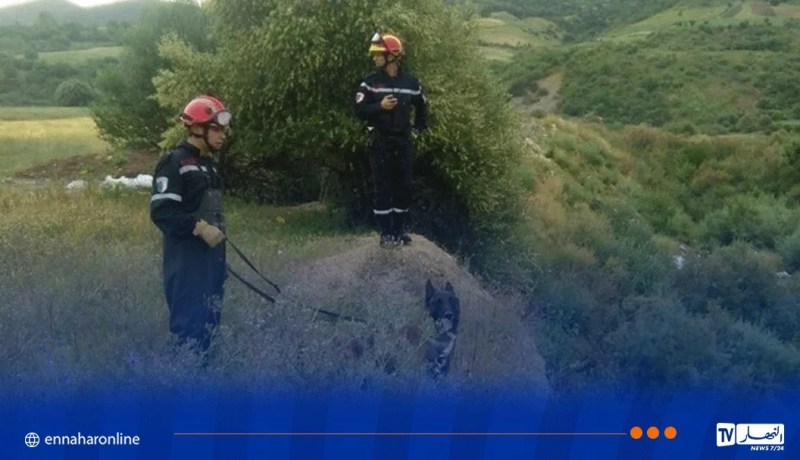 الجلفة.. عملية بحث عن طفل مفقود بغابة الحواص