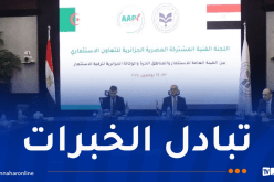 بحث فرص التكامل الاستثماري بين مصر والجزائر