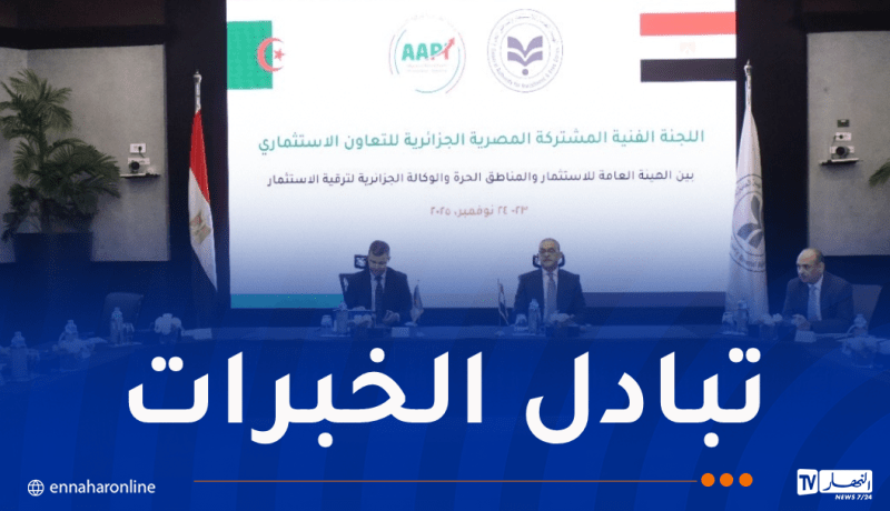 بحث فرص التكامل الاستثماري بين مصر والجزائر
