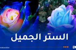 الستر الجميل..