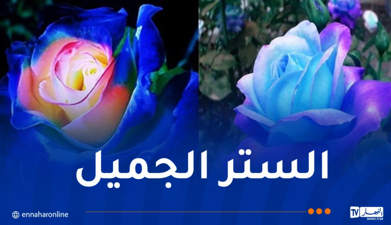 الستر الجميل..