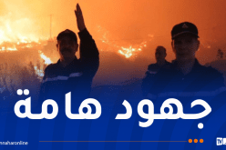 حرائق تيبازة.. إجلاء 55 عائلة إلى مناطق آمنة