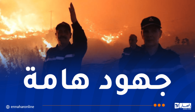 حرائق تيبازة.. إجلاء 55 عائلة إلى مناطق آمنة