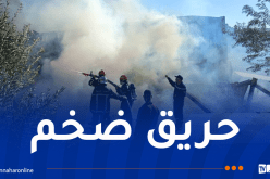 إندلاع حريق في مستودع للتخزين بسكيكدة