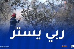 إندلاع 6 حرائق عبر هذه الولايات