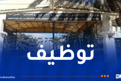 وزارة التضامن تُعلن عن فتح باب التوظيف