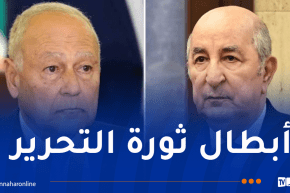 أبو الغيط يؤكد حرصه على التعاون الوثيق مع الجزائر