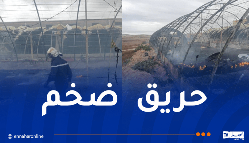 نفوق 8500 صوص إثر حريق بيوت بلاستيكية بالشلف