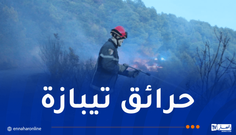 وزارة التضامن تُوفر المستلزمات الأساسية للأسر التي تم إجلاؤها بتيبازة