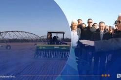 غرداية تتوقع إنتاجا قياسيا من الحبوب يفوق 117 ألف قنطار