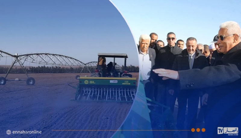 غرداية تتوقع إنتاجا قياسيا من الحبوب يفوق 117 ألف قنطار