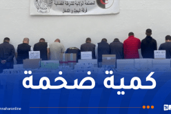 البليدة.. تفكيك شبكة إجرامية يقودها صيدلي وحجز 243 ألف مؤثر عقلي