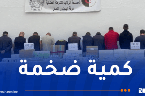 البليدة.. تفكيك شبكة إجرامية يقودها صيدلي وحجز 243 ألف مؤثر عقلي