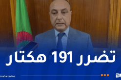 والي تيبازة للنهار Tv: لا خسائر بشرية جراء الحرائق وتعويض المتضررين