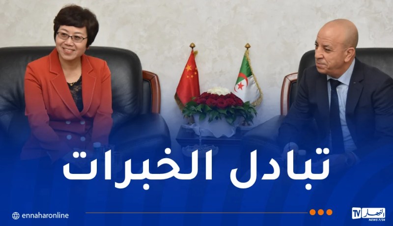 الجزائر والصين يبحثان تعزيز آليات التعاون بين شرطة البلدين