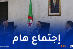 سعيود يأمر بتكثيف العمل التفتيشي عبر جميع الولايات
