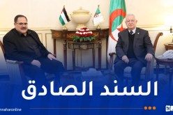 ناصري يشدد على استمرار الجزائر في الدفاع عن حقوق الفلسطينيين