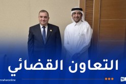 وزير العدل يلتقي نظيره القطري بالرياض