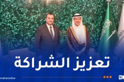 عرقاب يتحادث بالرياض مع وزير الطاقة السعودي