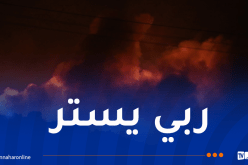 حرائق تيبازة.. جهود الإطفاء متواصلة بـ5 غابات