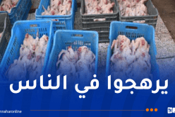 تيسمسيلت: حجز أزيد من 4 قناطير من اللحوم البيضاء الفاسدة 