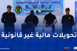 شرطة الشلف تطيح بـ”تيكتوكر” يبث محتويات مخلة