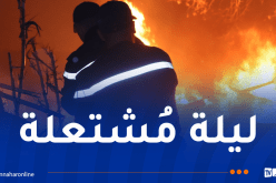 إندلاع 29 حريقا في 24 ساعة.. هذه حالة الحرائق عبر الوطن