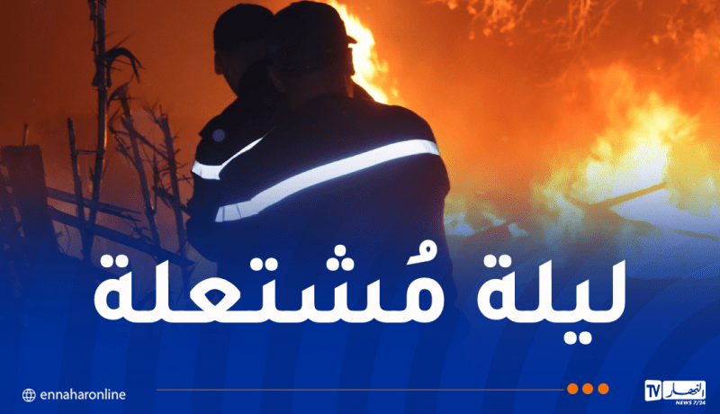 إندلاع 29 حريقا في 24 ساعة.. هذه حالة الحرائق عبر الوطن