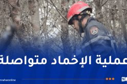 السيطرة على بعض بؤر الحرائق بتيبازة