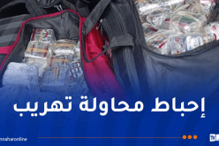 حجز أزيد من 43 ألف قرص مهلوس بالمسيلة