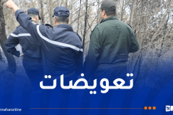 رئيسة مصلحة حماية الثروة الغابية: الدولة ستتكفل بتعويض المتضررين من الحرائق