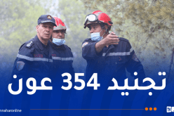 المدير العام للحماية المدنية يُعاين بؤر الحريق بتيبازة