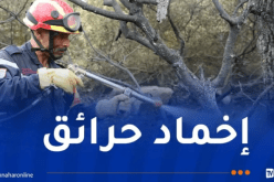 إخماد 50 حريقا خلال 24 ساعة