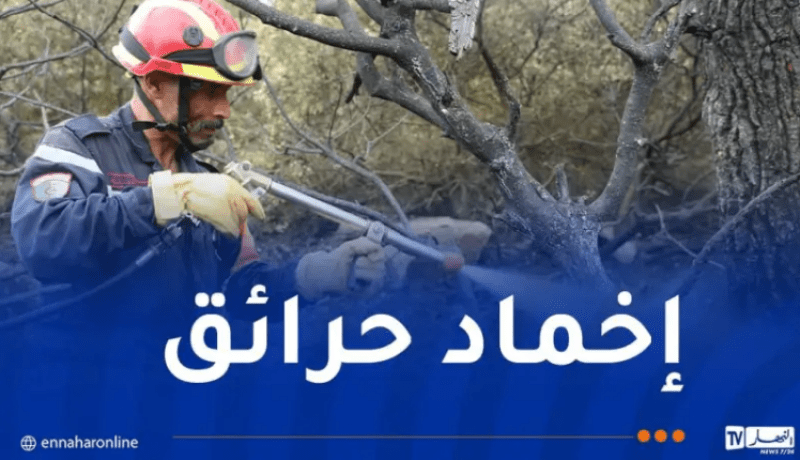 إخماد 50 حريقا خلال 24 ساعة