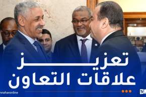 البنك الإفريقي للتنمية يؤكد استعداده لتمويل مشاريع الجزائر الاستراتيجية