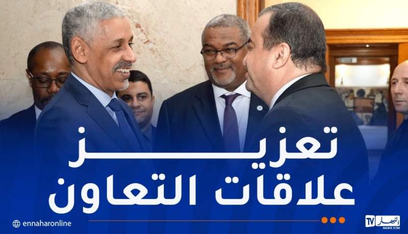 البنك الإفريقي للتنمية يؤكد استعداده لتمويل مشاريع الجزائر الاستراتيجية