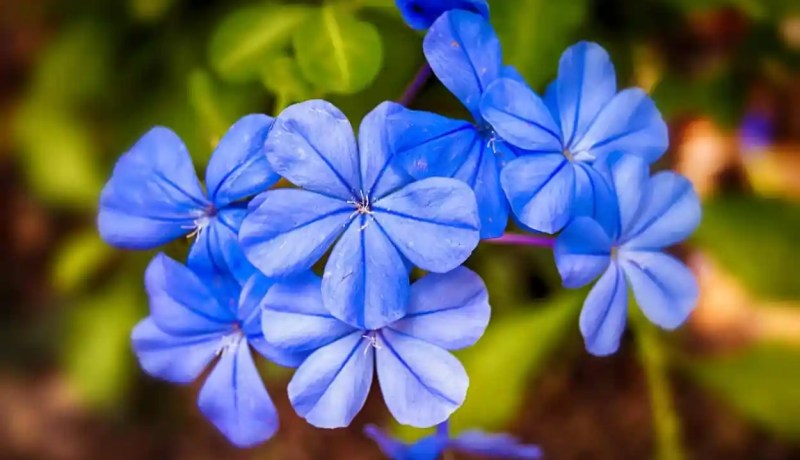 من أجمل ما قرأت