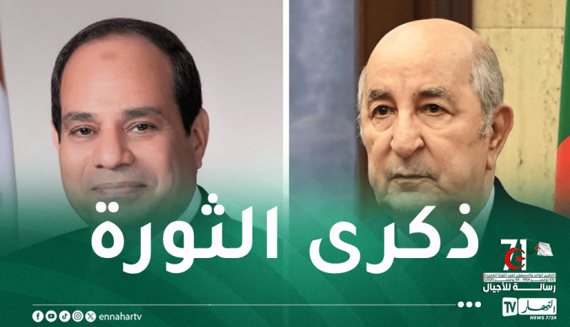 رئيس الجمهورية يتلقى التهاني من الرئيس المصري