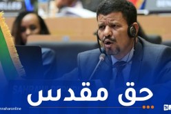 الخارجية الصحراوية: في 30 سنة الأخيرة لم تعرف القضية نقاشا حادا مثلما حدث داخل مجلس الأمن