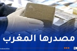 15 سنة سجنا لشبكة يقودها بارون مغربي حاولت اغراق العاصمة بـ”الكيف”