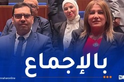 انتخاب الجزائر لعضوية المجلس التنفيذي لمنظمة حظر الأسلحة الكيميائية