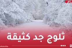 تستمر إلى الخميس.. ثلوج جد كثيفة على 18 ولاية !