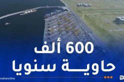 جلسة عمل لتحسين القدرات اللوجستية لميناء سكيكدة