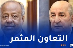 رئيس جيبوتي يؤكد حرصه على مواصلة تعزيز أواصر التعاون مع الجزائر