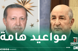 الرئيس التركي يُهنئ رئيس الجمهورية بعيد الثورة