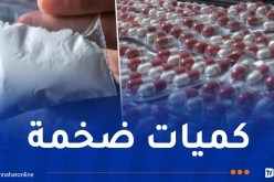 حجز أزيد من 85 كلغ كوكايين وقرابة 3 ملايين مهلوسات